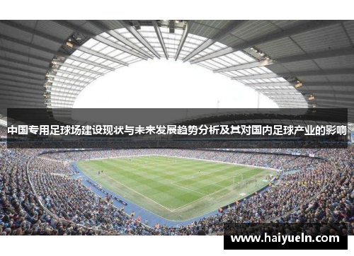 中国专用足球场建设现状与未来发展趋势分析及其对国内足球产业的影响
