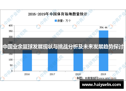 中国业余篮球发展现状与挑战分析及未来发展趋势探讨