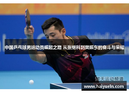 中国乒乓球男运动员崛起之路 从张继科到樊振东的奋斗与荣耀