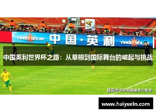 中国英利世界杯之路：从草根到国际舞台的崛起与挑战