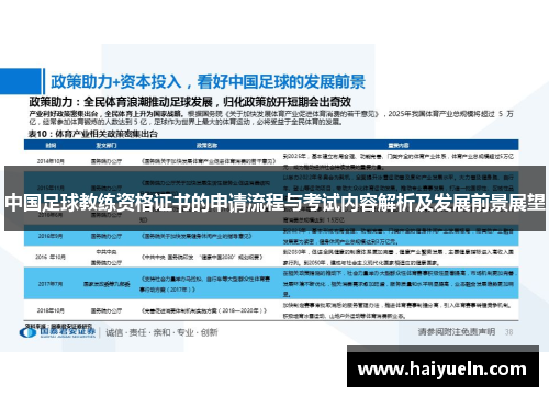 中国足球教练资格证书的申请流程与考试内容解析及发展前景展望